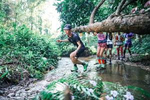 BIB: 
                            <button type="button" onclick="openModal(25446178)" class="btn btn-primary btn-sm float-right btn-popup" data-toggle="modal" data-target=".modal-high-quality">
                        <i class="fas fa-shopping-cart"></i> Add to Cart
                    </button>
                                            <button type="button" onclick="isThisMe(25446178, true)" class="btn btn-success btn-sm float-right btn-popup btn-isme hidden" data-toggle="tooltip" data-placement="bottom" title="นี่คือรูปของคุณใช่ไหม คลิกที่นี่เพื่อเอาเข้าอัลบั้ม">
                        <i class="fas fa-plus"></i> Add to album
                    </button>
                    <button type="button" onclick="isThisMe(25446178, false)" class="btn btn-warning btn-sm float-right btn-popup btn-isnotme hidden">
                        <i class="fas fa-ban"></i> Remove from album
                    </button>